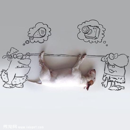 ������ӵĳ��ﹷ��ţ���Ͱ�ǽͿѻ��������