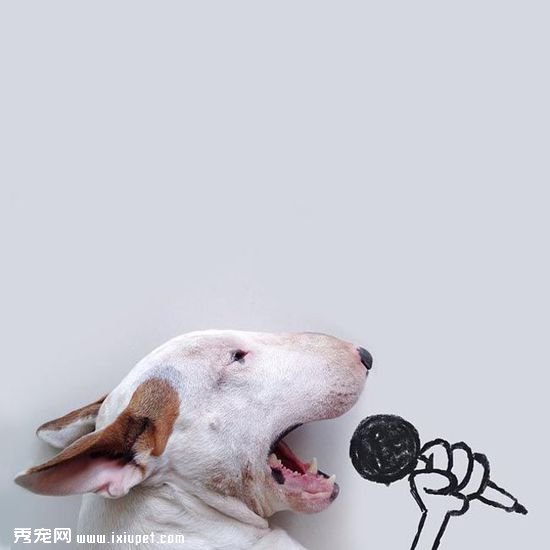 ������ӵĳ��ﹷ��ţ���Ͱ�ǽͿѻ��������