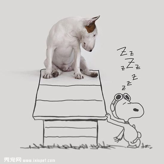 ������ӵĳ��ﹷ��ţ���Ͱ�ǽͿѻ��������