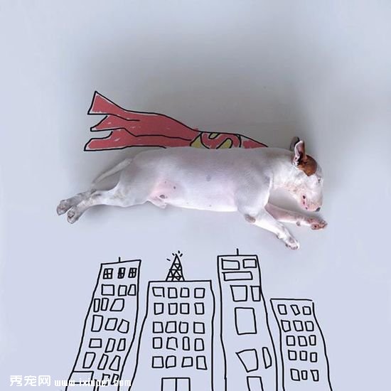 ������ӵĳ��ﹷ��ţ���Ͱ�ǽͿѻ��������