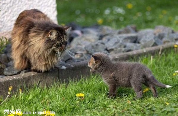 �ո�������Ȯĸ������ �ɺ��걦����������