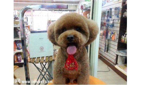 ���ճ��ﹷ�������� ��ϲ����һ�