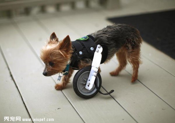 ��ʱ������ֻ��Ҫһ��������������ļҳ��ǿ����ɣ�