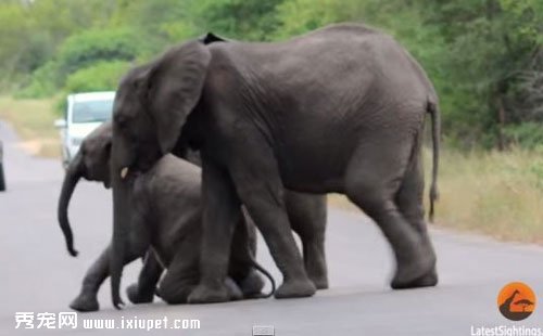 �������������˾��� ѧϰ������ʤ����