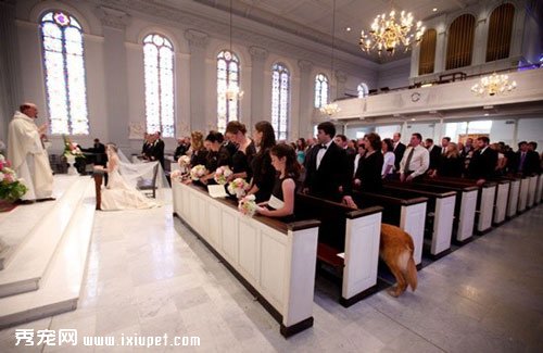 �����ڻ����е�10����ɫ����ұ����ʺ���һ����