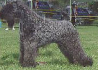 �����ص�����41�ֽ���Ȯ����