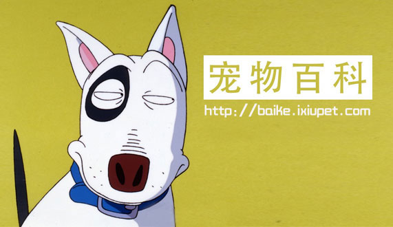 ���������ٿ�Ƶ������ Ӯ�����糱����