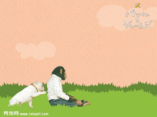 �����밢ռ�ľ�����ܼ����ͼƬ