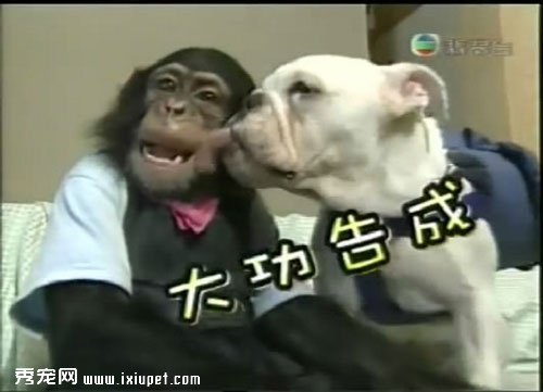 �����밢ռ��ЦͼƬ��ȫ|�������ɴ�ð��