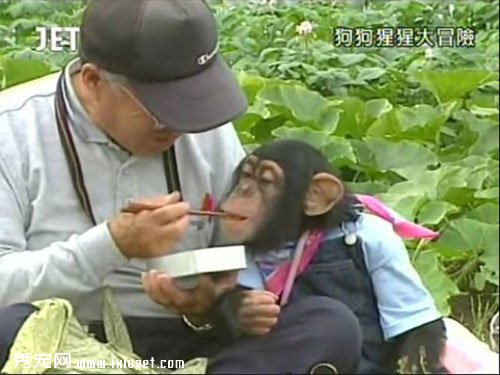 �����밢ռ��ЦͼƬ��ȫ