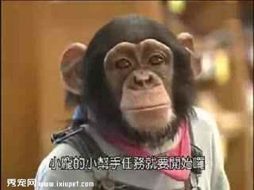 �����밢ռ��ЦͼƬ��ȫ