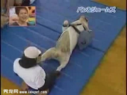 �����밢ռ��ЦͼƬ��ȫ