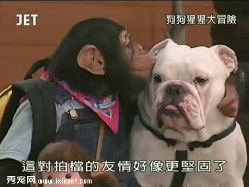 �����밢ռ��ЦͼƬ��ȫ