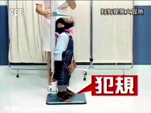 �����밢ռ��ЦͼƬ��ȫ