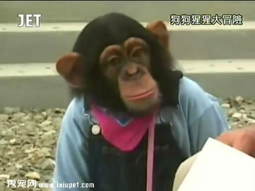 �����밢ռ��ЦͼƬ��ȫ