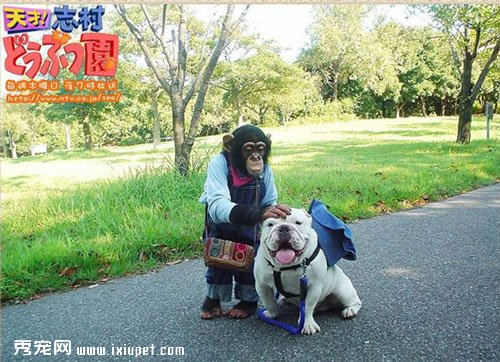 �����밢ռ��ЦͼƬ��ȫ