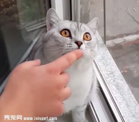 ����è̫רע ��������ô����û��Ӧ