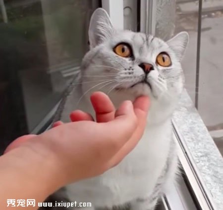 ����è̫רע ��������ô����û��Ӧ