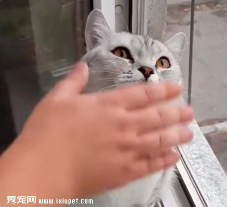 ����è̫רע ��������ô����û��Ӧ