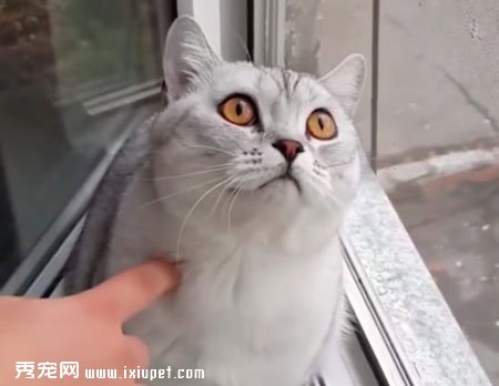 ����è̫רע ��������ô����û��Ӧ