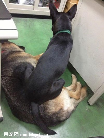 С�ڹ���С���������� 3�����������