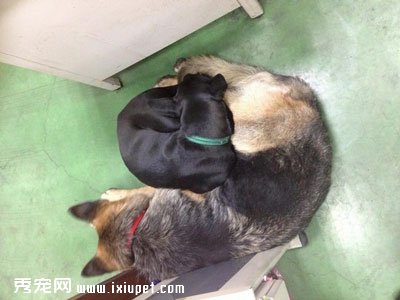 С�ڹ���С���������� 3�����������