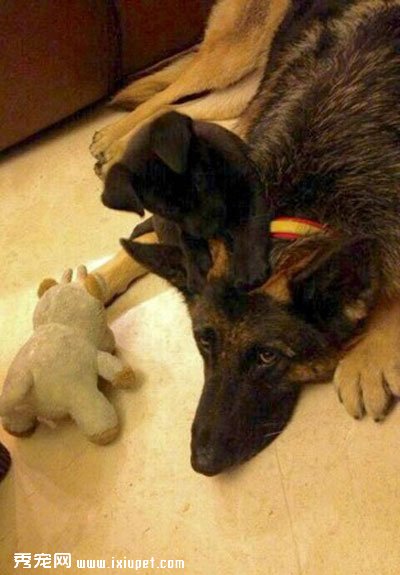С�ڹ���С���������� 3�����������