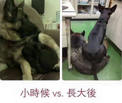 С�ڹ���С���������� 3�����������