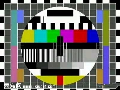 �����������ͯ�굽���겻����