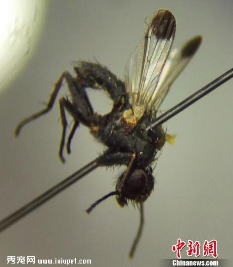 �麣�ػ��ܴ����Ҹε�����