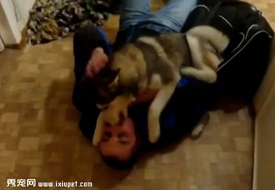 ��ʿ�濴���ָ�1�����µ����˺� �˵����Ͽ���ֹ����Ƶ��