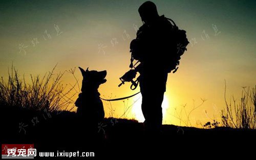 ����Ȯ�Ӿ��ǣ�����Ȯ��������Ϊ��ǿս�������ֶ�