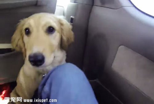 �ƽ���Ȯ11�ܱ����� ����������ط�������
