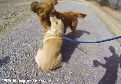 �ƽ���Ȯ11�ܱ����� ����������ط�������