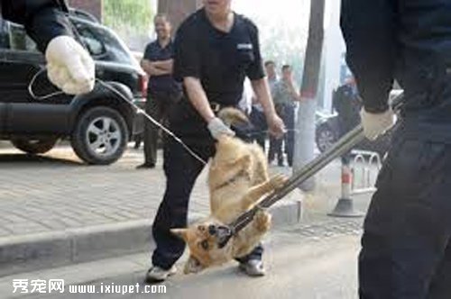 ����Բ�ϲ�� ���Ǳ��˺�