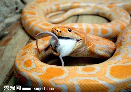 �ƽ�������ʺϼ����������������Ҫ�߱�ʲô������