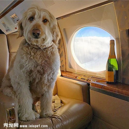 ����Ҳ�Ÿ�!���ҹ��ݻ������շ贫�������²�