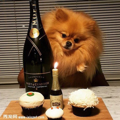 ����Ҳ�Ÿ�!���ҹ��ݻ������շ贫�������²�