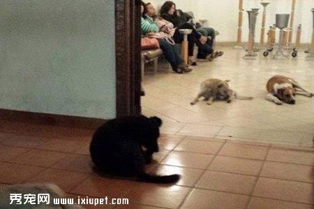 ī����һ��̫���ﰮ���߲��� ���˹��Է�ȥ�������