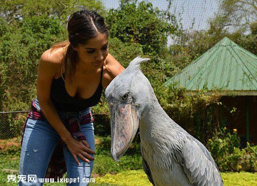 ��Ůģ��Marlina Moreno��8�����ұ���Ұ������֮��