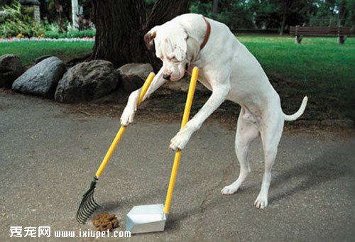 �ù����ͻ�ϰ�߰ݰݡ�������������ʺ