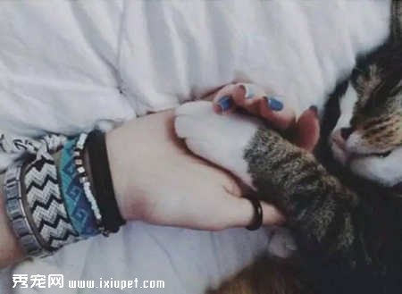 �����������˱���ϵ��