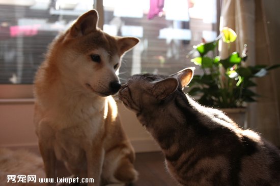 �����ӼҰ�ȫ����飺���������ĵص㾹Ȼ������