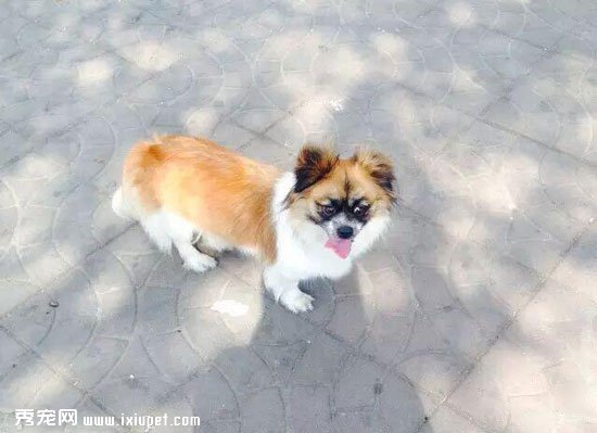��������1����������������