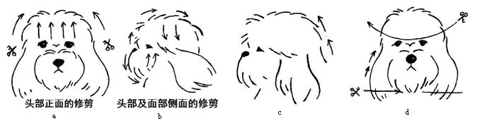 ��ʩȮ�޼�