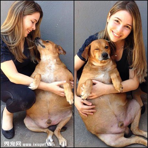 �������˹�����(Bolinha)��36.5�������14������ô�����ļ���Ƭ�Ա�