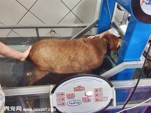 �������˹�����(Bolinha)��36.5�������14������ô�����ļ���Ƭ�Ա�
