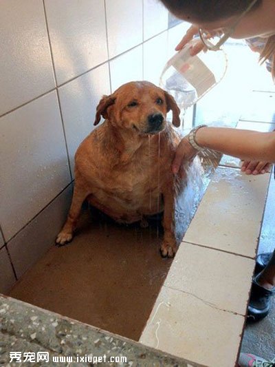 �������˹�����(Bolinha)��36.5�������14������ô�����ļ���Ƭ�Ա�