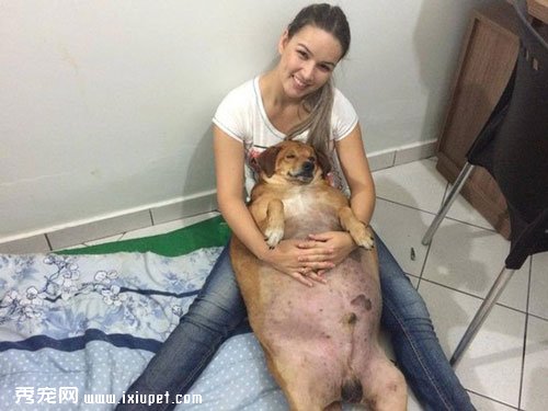 �������˹�����(Bolinha)��36.5�������14������ô�����ļ���Ƭ�Ա�