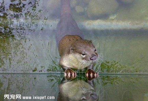 ˮ������Ҫ������ʩ��ˮ��ͼƬ
